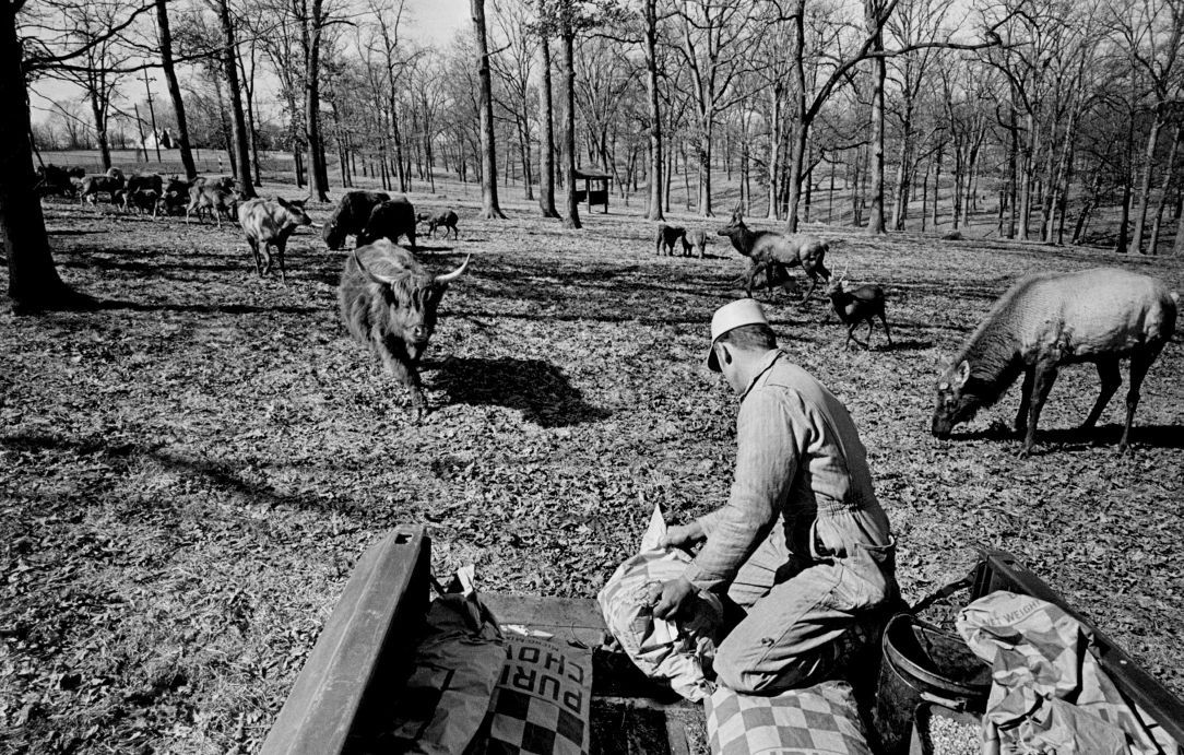 Grant's Farm in 1969